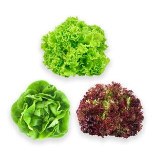 Mixed Lettuce, 3 Unit.
