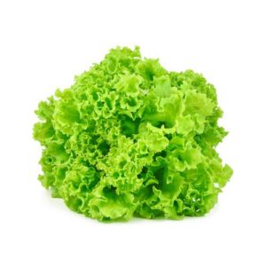 American Lettuce, (2 Unit.)