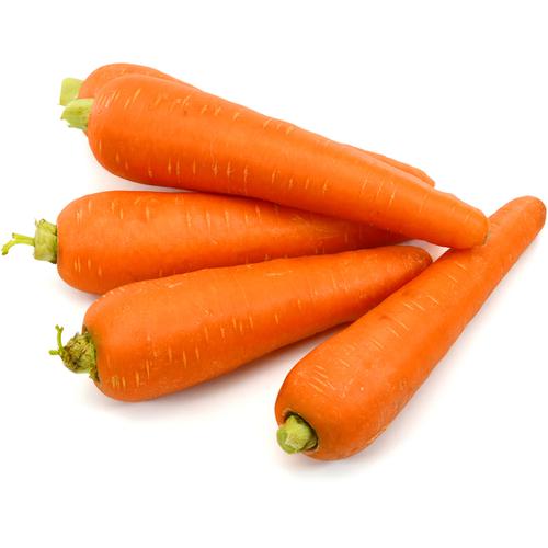 Carrot, 1,5 Kg. / 3,3 Lbs.